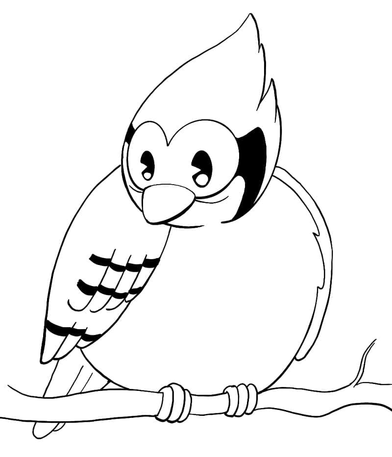 Funny Blue Jay