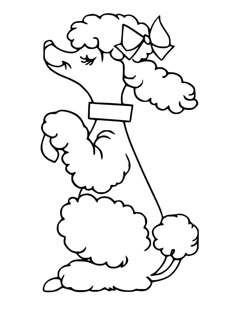 Good Poodle