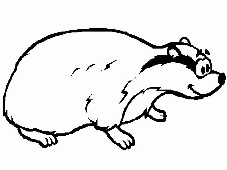 Happy Cartoon Badger