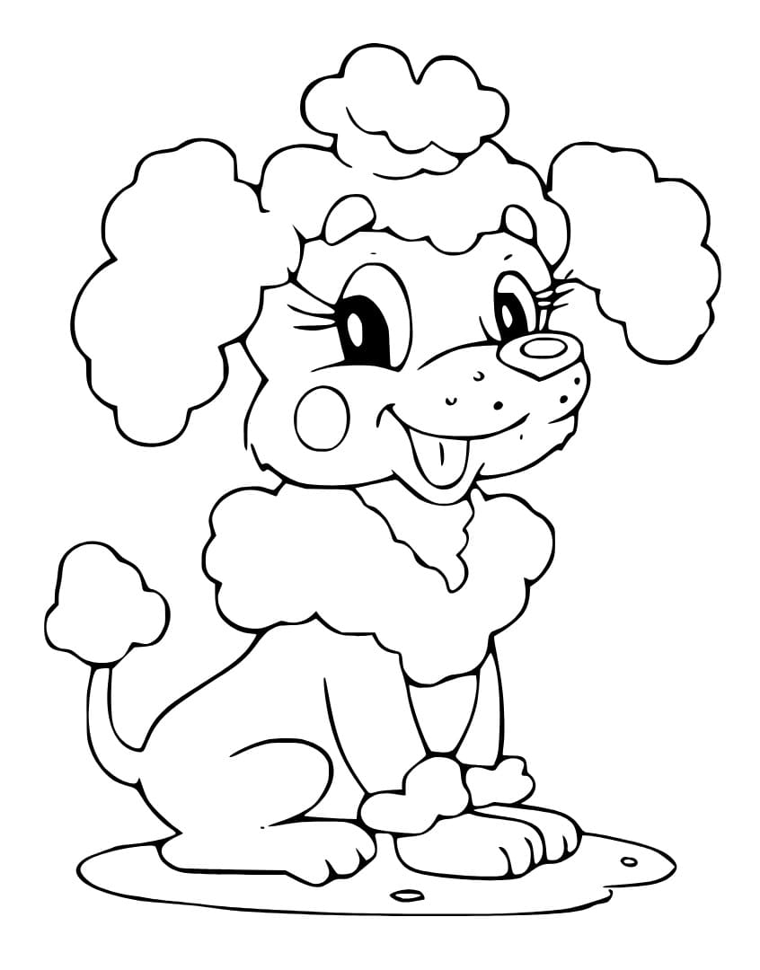 Happy Poodle Dog