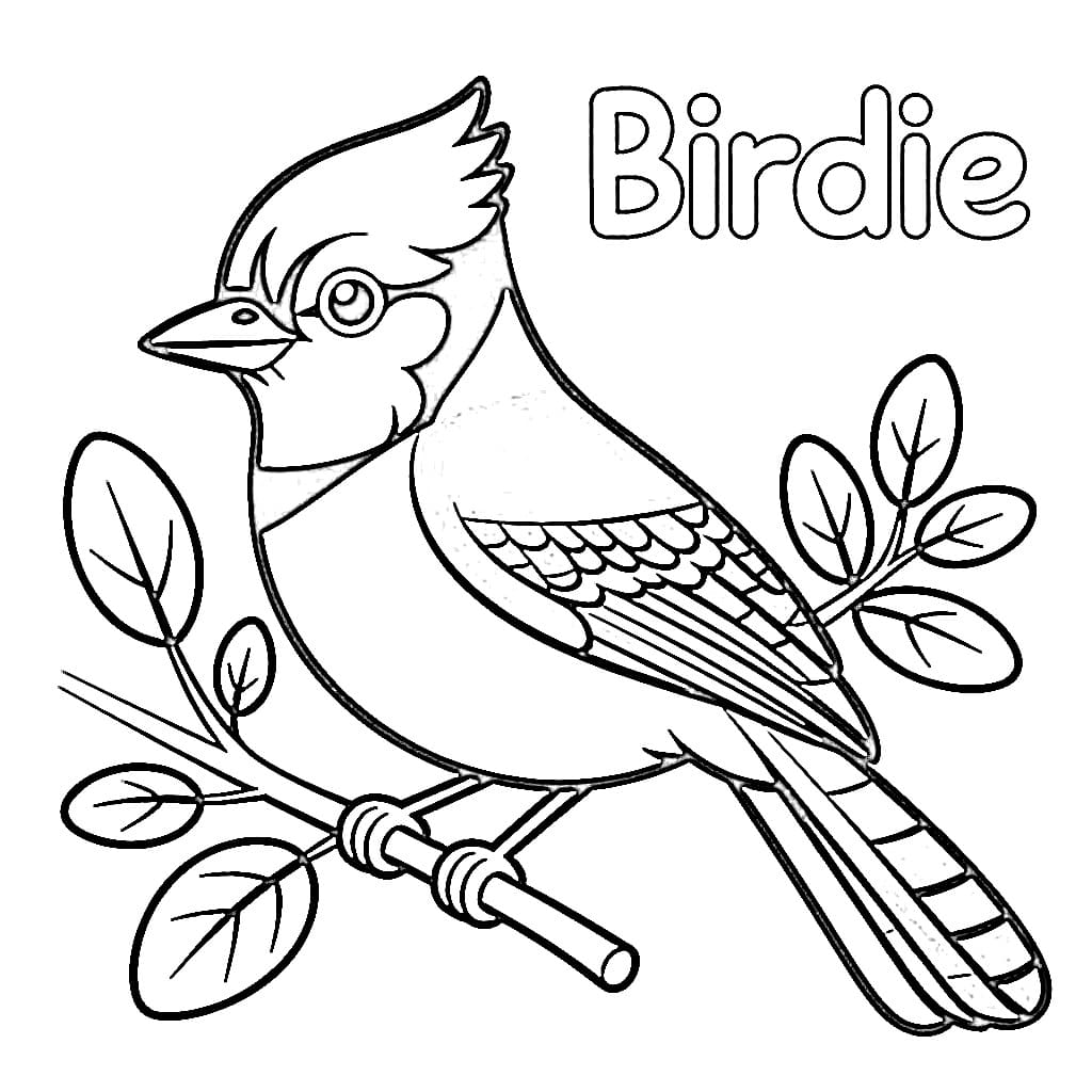 Lovely Blue Jay