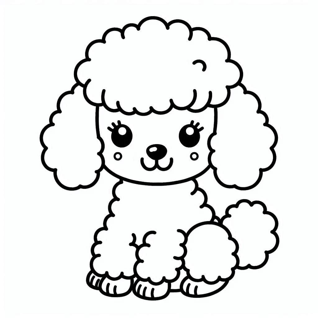 Lovely Poodle