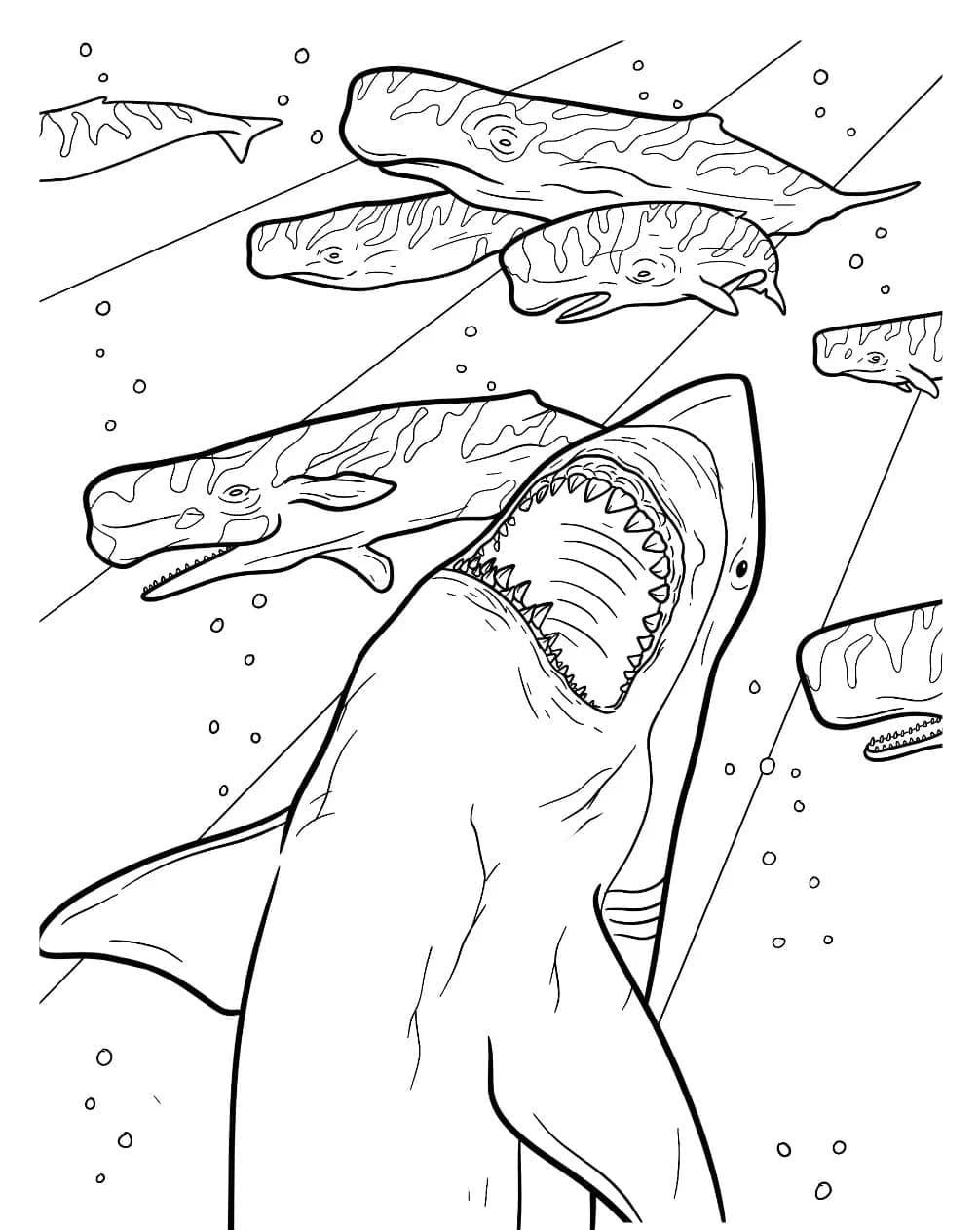 Megalodon is attacking