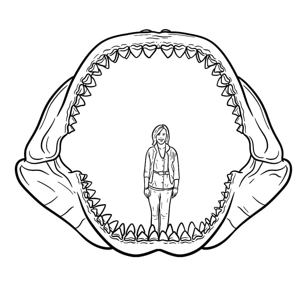 Megalodon Jaws