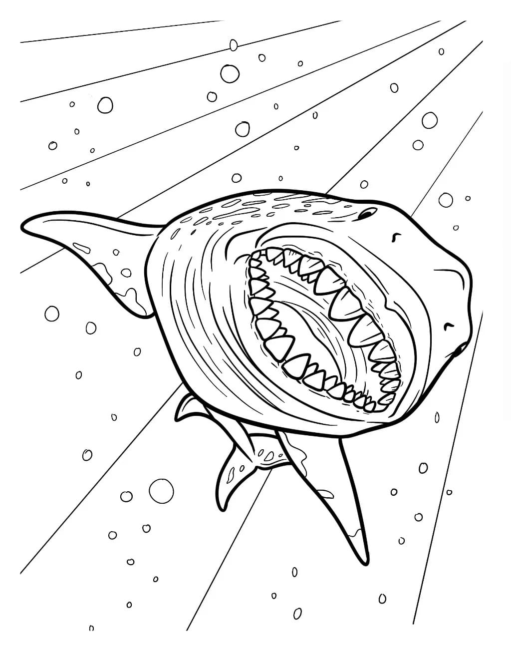 Monster Megalodon