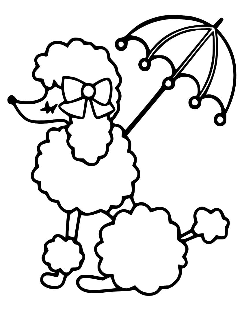 Poodle with Umbrella