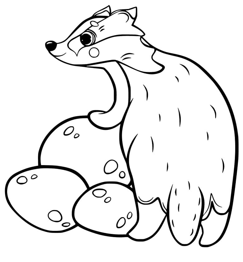 Pretty Badger