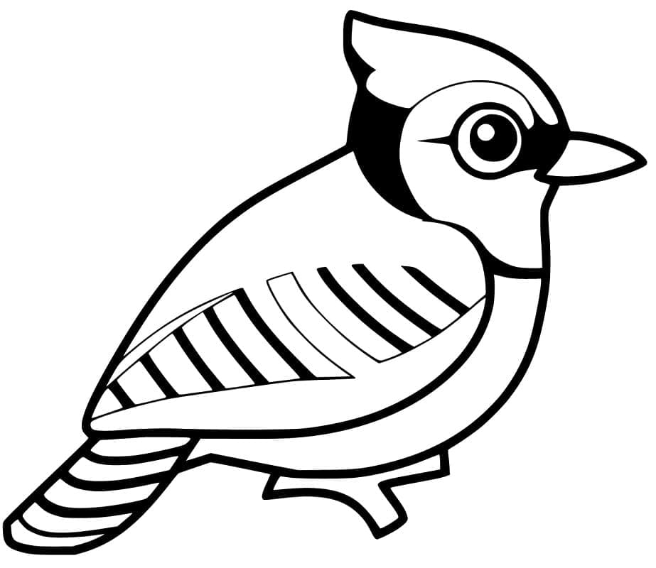 Print Blue Jay