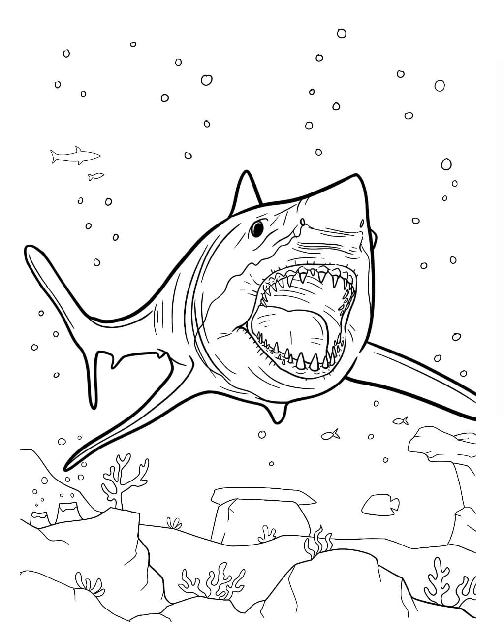 Print Megalodon