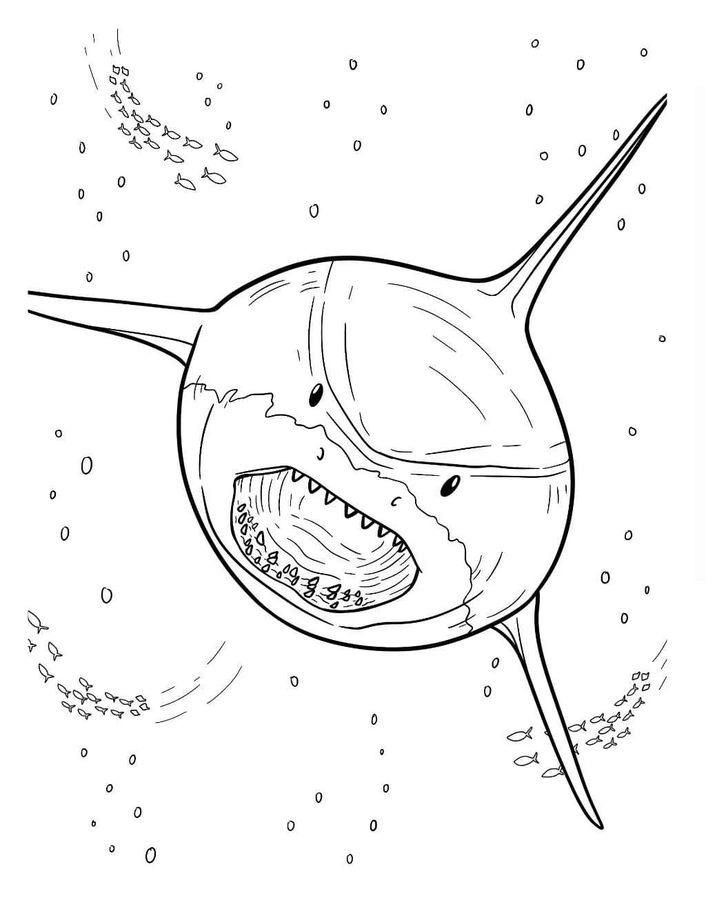 Printable Megalodon