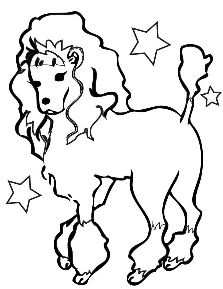 Printable Poodle