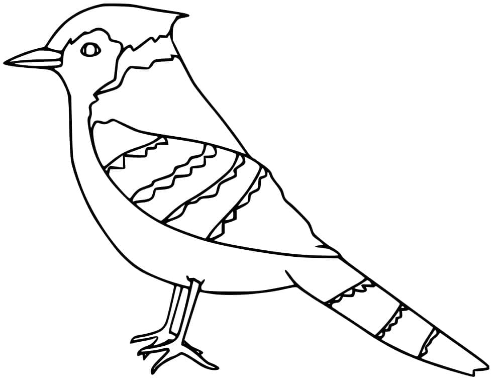 Simple Blue Jay