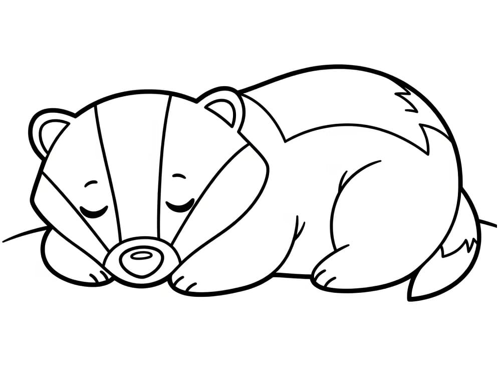 Sleeping Badger