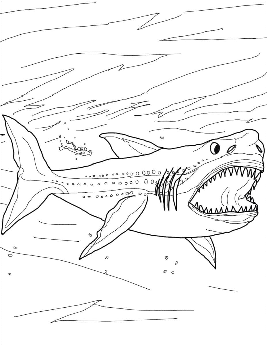 Megalodon coloring pages
