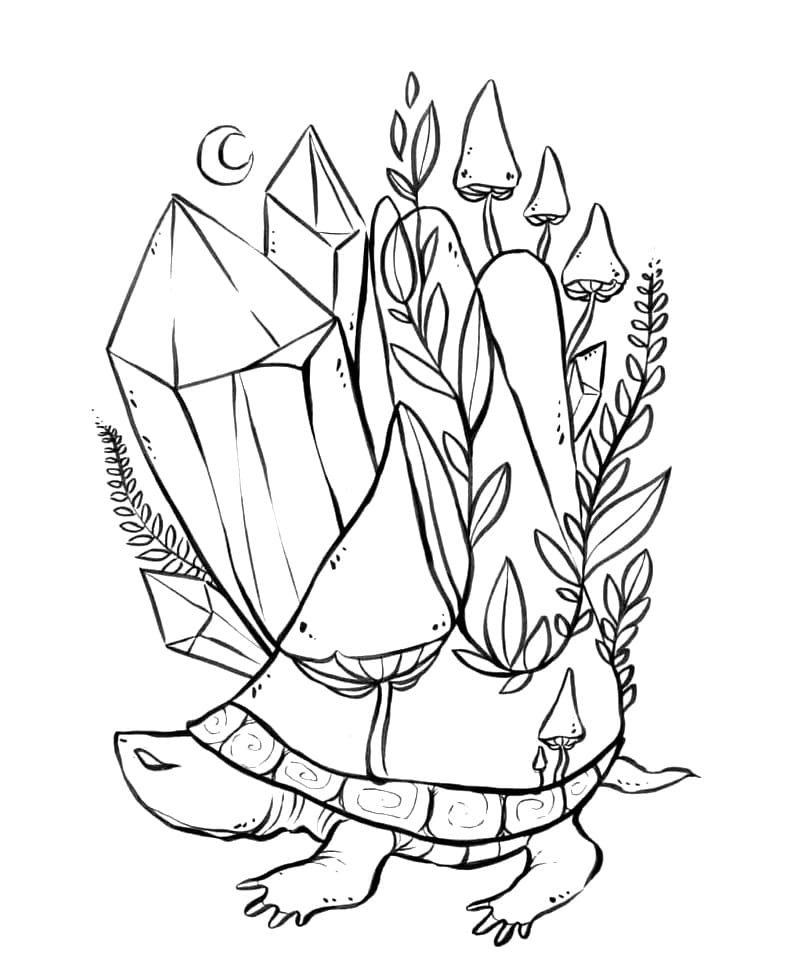Turtle and Crystal